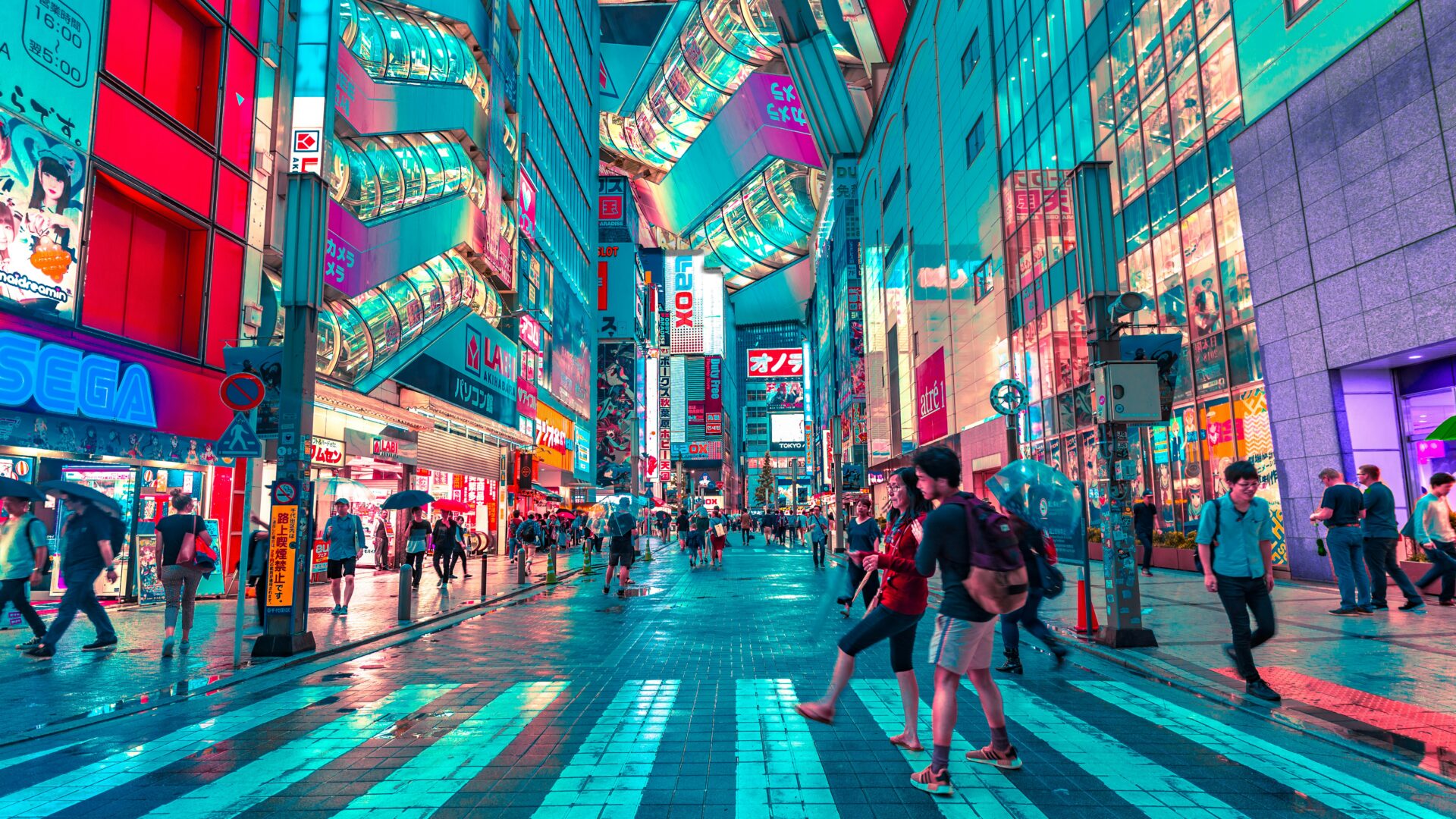Trip header image