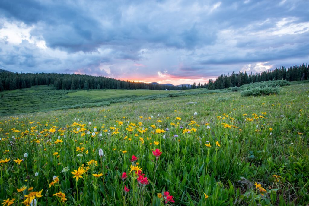 Your Ultimate 3-Day Trip to Uttarakhand