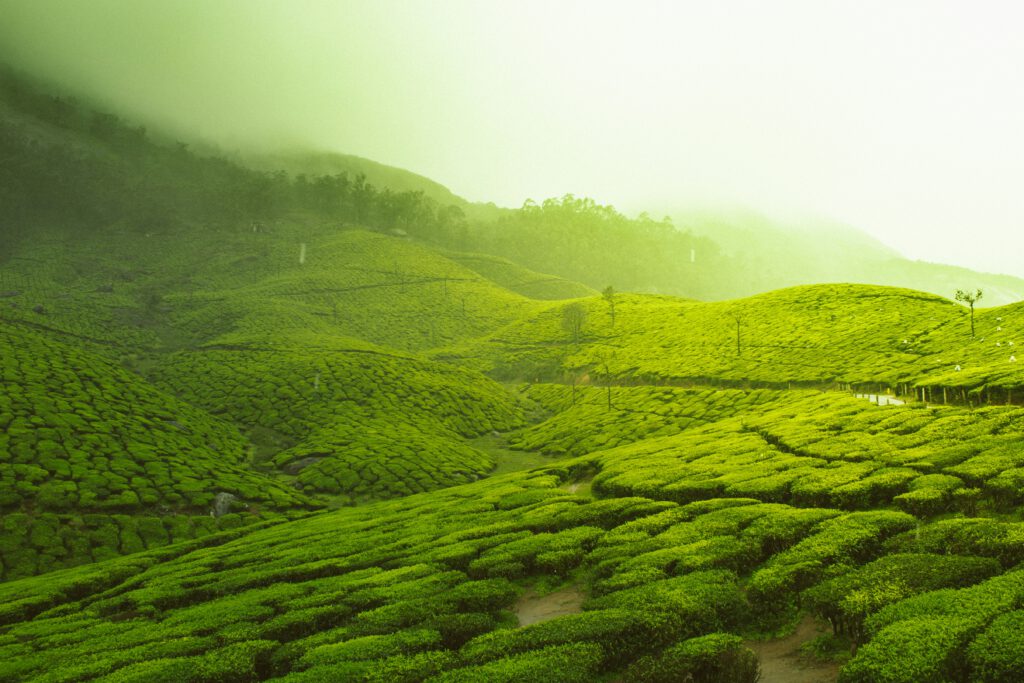 Your Ultimate 2-Day Trip to India