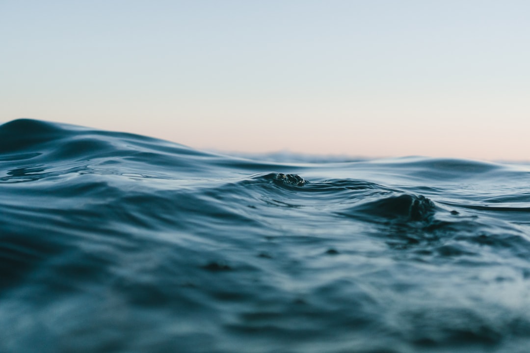 Trip header image