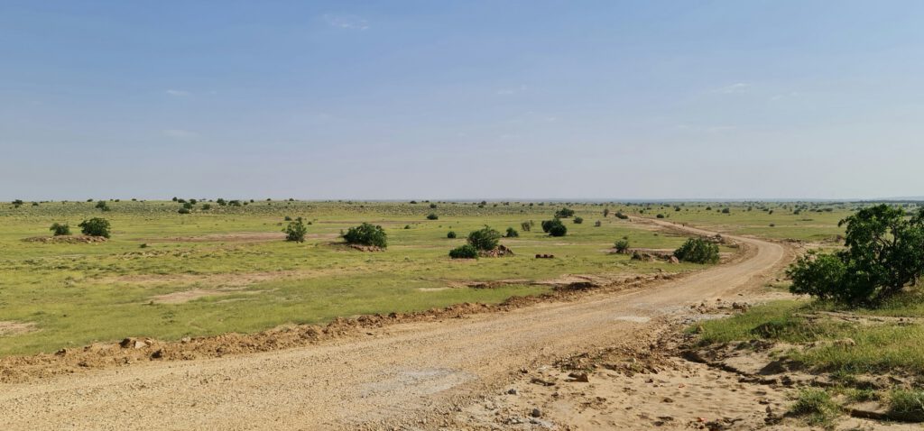 Your Ultimate 7-Day Trip to Rajasthan